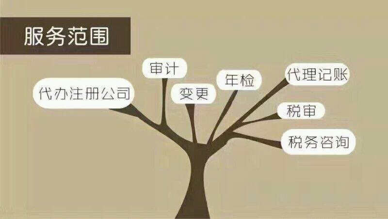 代理记账:新手也能轻松搞定财务问题
